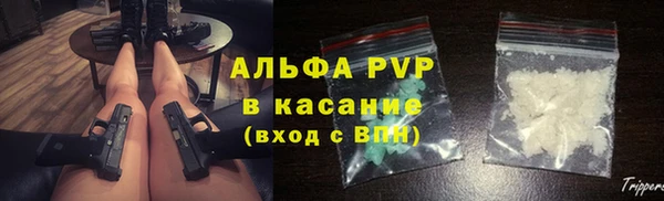 шишки Нея