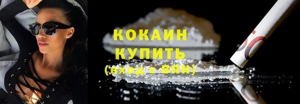 шишки Нея
