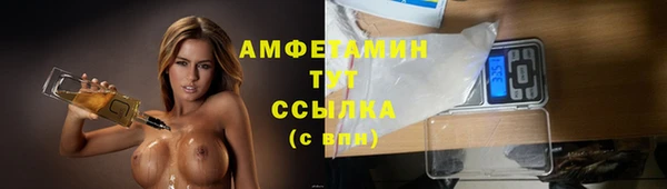 шишки Нея