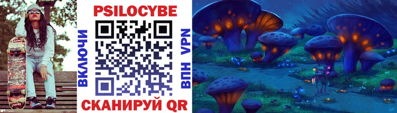 наркота  Калининск  Псилоцибиновые грибы Cubensis 