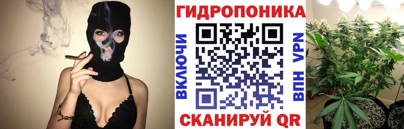 Конопля AK-47  Калининск 